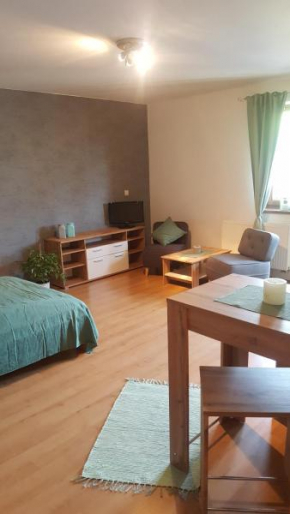 Apartmán Železná Ruda, Zelezná Ruda